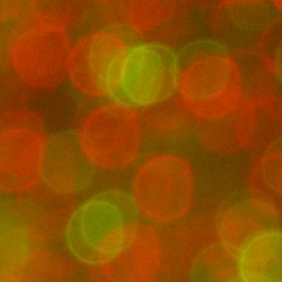 Bokeh-447